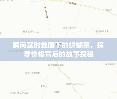鹤岗实时地图下的蟾蜍草,探寻价格背后的故事探秘