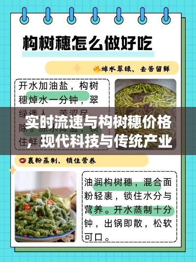 实时流速与构树穗价格，现代科技与传统产业的交汇点