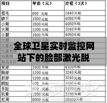 全球卫星实时监控网站下的脸部激光脱毛价格分析