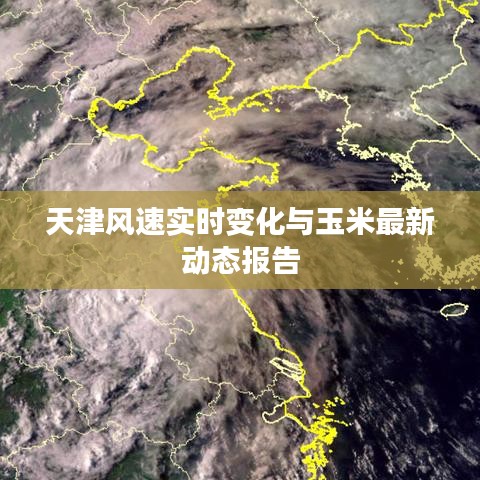 天津风速实时变化与玉米最新动态报告