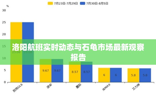 洛阳航班实时动态与石龟市场最新观察报告