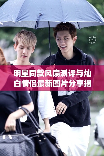 明星同款风扇测评与灿白情侣最新图片分享揭秘