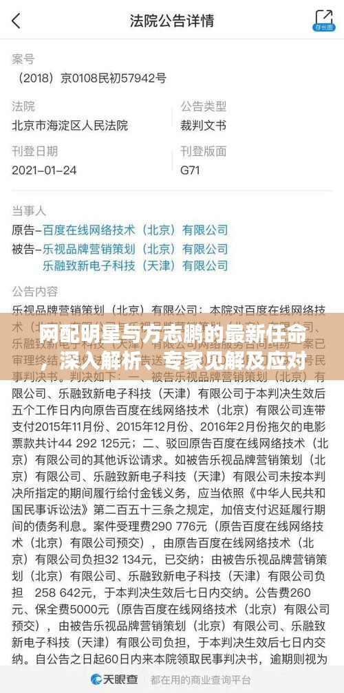 网配明星与方志鹏的最新任命,深入解析、专家见解及应对指南