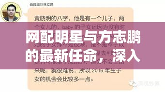 网配明星与方志鹏的最新任命,深入解析、专家见解及应对指南