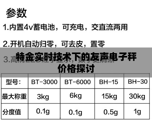 特金实时技术下的友声电子秤价格探讨