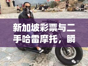 新加坡彩票与二手哈雷摩托,瞬间致富与复古魅力的碰撞