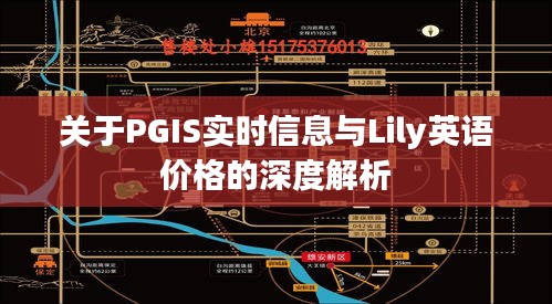 关于PGIS实时信息与Lily英语价格的深度解析