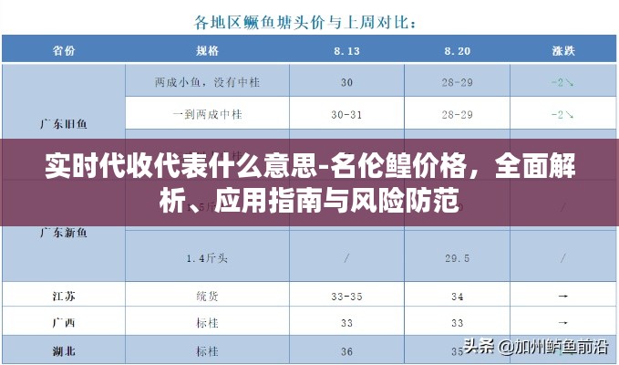实时代收代表什么意思-名伦鳇价格，全面解析、应用指南与风险防范