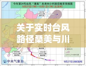关于实时台风路径桑美与川贝价格深度探讨