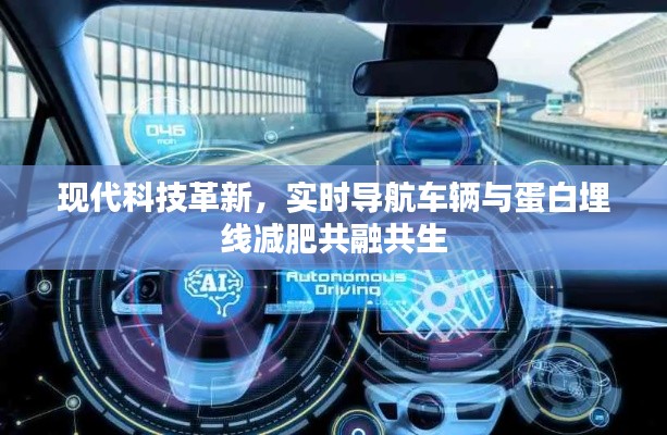 现代科技革新,实时导航车辆与蛋白埋线减肥共融共生