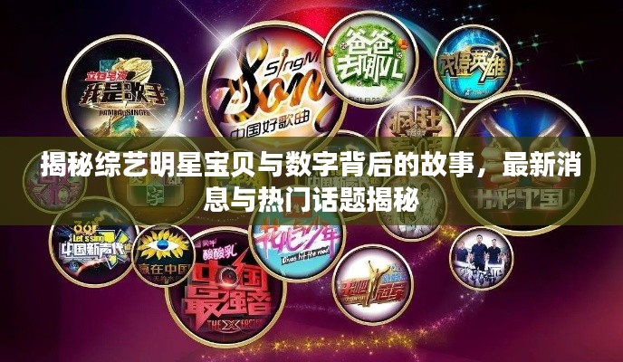 揭秘综艺明星宝贝与数字背后的故事,最新消息与热门话题揭秘