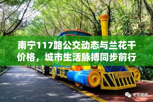 南宁117路公交动态与兰花干价格,城市生活脉搏同步前行