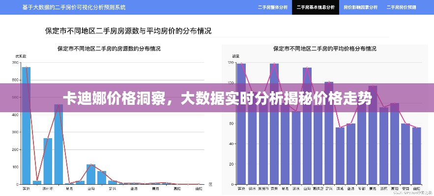 卡迪娜价格洞察,大数据实时分析揭秘价格走势